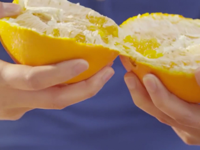 Sunkist Citrus Hacks