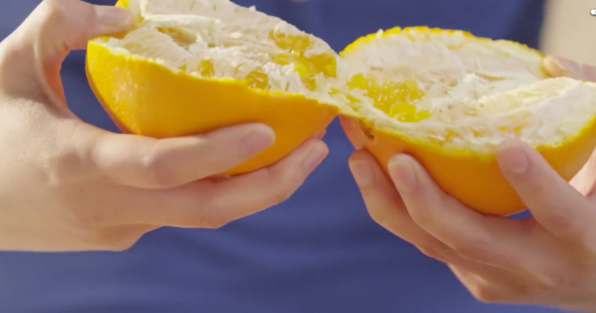 Sunkist Citrus Hacks