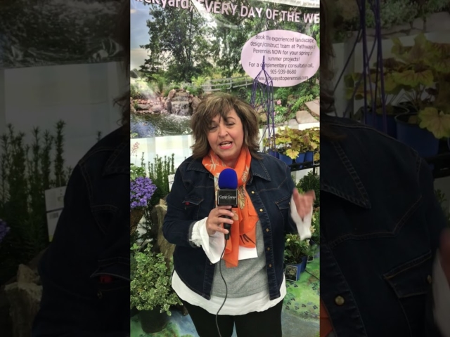 Aurora Chamber Home Show | Pathway to Perennials