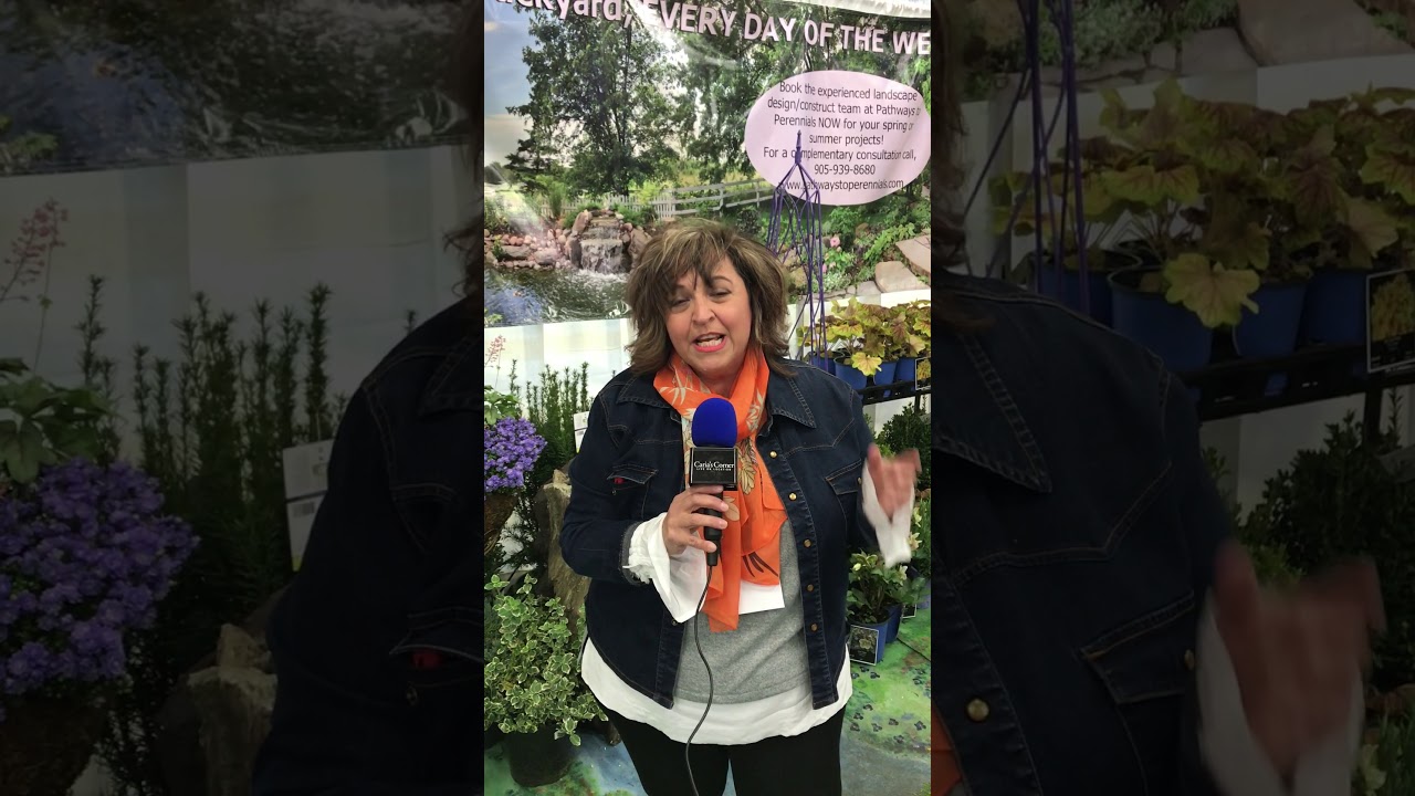 Aurora Chamber Home Show | Pathway to Perennials